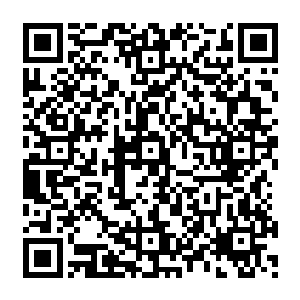 可是原主的记忆中根本就没有这一个桥段啊……梓箐觉得以后她再也不会相信原主的剧情了二维码生成