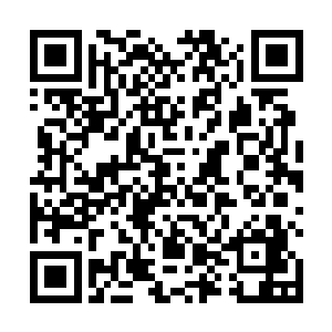 可是原本这个世界只有一只凤凰……我有段模糊的记忆二维码生成