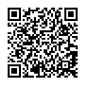 可是叶影的意思却是她们根本就没有看到张潇晗和小宝离开二维码生成