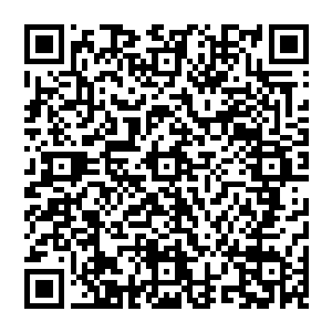 可是后来在为他爷爷收拾遗物的时候却意外地发现他爷爷研制出来与收藏得很好的那颗禁药不翼而飞了二维码生成