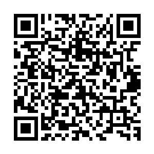 可是在这善恶树和生命树的树根面前却竟然仿佛变得格外的松散二维码生成