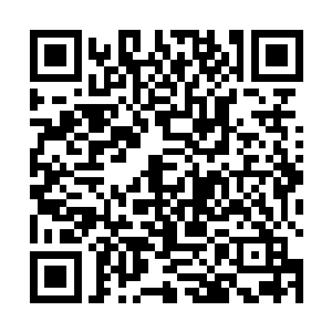 可是在那条蟒蛇此刻仿佛有耳朵一般双眼变的一片血红二维码生成