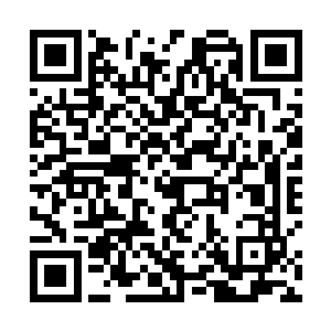 可是在长期的进化中它却寻找到了新的保护自己的办法二维码生成