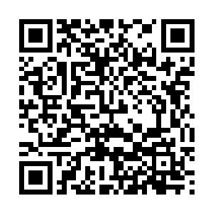 可是地球的修士们根本没有发现我替他们挡下了一波攻击二维码生成