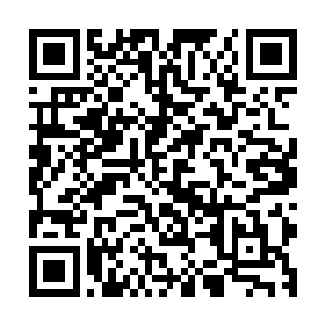 可是她仍旧无法忽略原主的确是由这两位老人抚养成人的事实二维码生成