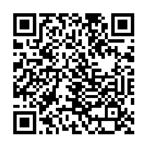 可是如果自己在完全不用真元护体的情况下挨上这么一枪二维码生成