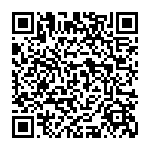 可是实力和境界上的差距还是让李二娃被秦梦申金刀上的霸气给击飞了出去二维码生成