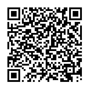 可是就在这时他们惊恐的发现他们的致命一击竟然如同打在了钢板上一般二维码生成