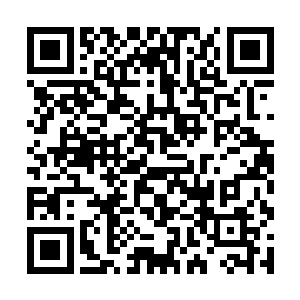 可是就算是叶无声也是被那个讨厌的家伙给一招击倒二维码生成