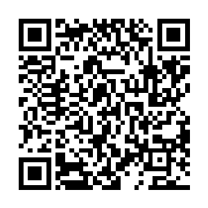 可是当御灵神镰劈到他面前的时候他才知道这镰刀的可怕二维码生成