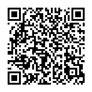 可是我……不想离开他们……哪怕他们再如何说我废物……可是……我只想二维码生成