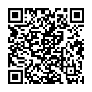 可是我们南武林年轻一辈的高手中数一数二的高手啊……二维码生成