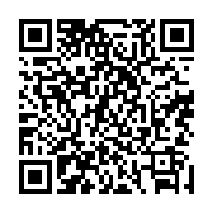 可是我的灵宠现在处于虚弱期 根本就沒有天妖的实力啊 二维码生成