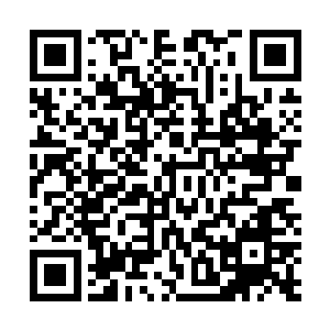 可是打算将当日皇上利用花各束设计陷害的事告诉容姑娘二维码生成