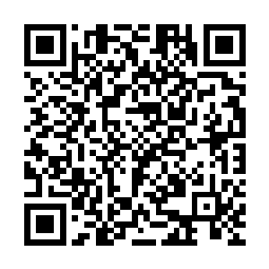 可是扶桑皇室的这些修罗道的修炼者必然潜伏与非常隐蔽的所在二维码生成