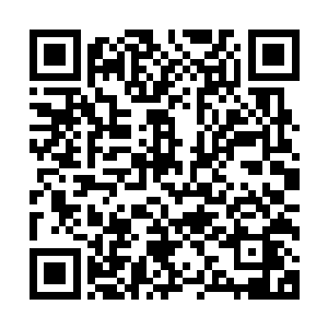 可是拜仁慕尼黑还是在客场挑战柏林赫塔的时候派上了全主力二维码生成