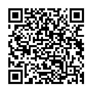 可是早就熟悉了陈凌这种个性的他们自动过滤了他语气中的冷酷二维码生成