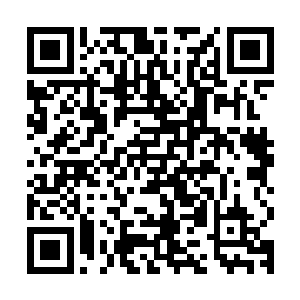 可是杨戬从练气一重到练气大圆满仅仅花费了还不到一年的时间二维码生成