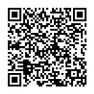 可是林寻鹤的身上却没有一般大学教师身上过于文质彬彬以及淡淡书生的腐气二维码生成