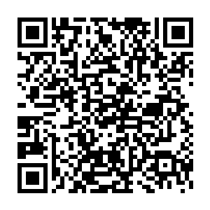 可是林锦鹏大概怎么也都不会想到自己的大后方付出了什么样的代价二维码生成