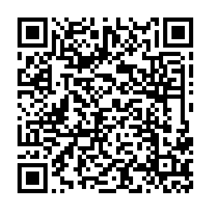 可是梓箐却不得不去想…为什么去十方山的时候怡茱不说走这条路二维码生成