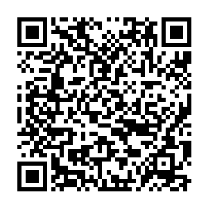 可是此时他们无论如何都无法跟眼前的跟小狗一般的宠物联想起来二维码生成