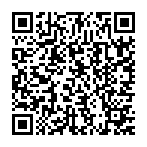 可是此时他只感到达林和自己接触的每一寸肌肤都变成了微型放电器二维码生成