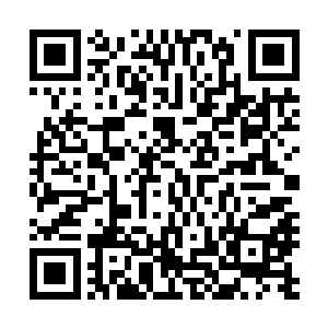 可是每次直接出现在拍卖现场都表示有价值无量的宝物出现二维码生成