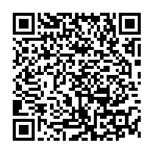 可是没想到一条很细小的银蛇在夜晚的掩护下爬上了他所在的那棵树二维码生成