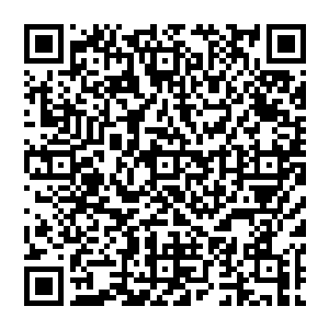 可是没想到最后在剑气碰到了血幕上之后整个血幕只是微微的晃了一下之后就没有了其他的反映二维码生成