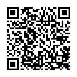 可是没有这么系统的将反应钢企的这么多的信息攒到一起听二维码生成