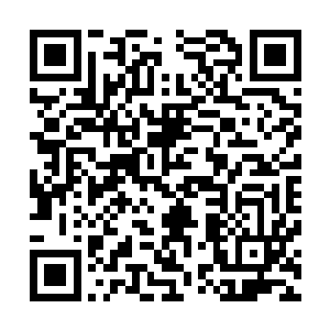 可是没用……机械灵魂仍旧感应不到对方与自己的灵魂牵引二维码生成