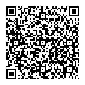 可是流墨墨仍然忍不住看着面前整整齐齐摆着的一共一百零一瓶都装的满满当当的大号圆瓶子瞪大眼睛二维码生成