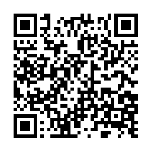 可是现在丹尘子却是实实在在的出现在了她的面前二维码生成