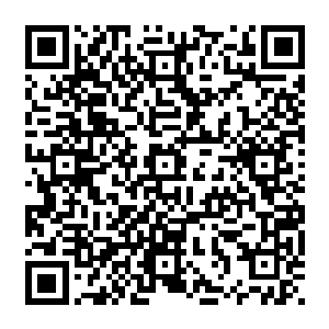 可是现在他们亲眼看到一个在他们眼中高不可攀的存在竟然被龙傲天仅仅用了一招就秒杀了二维码生成