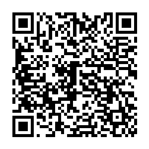 可是现在夏天和罗马高手他们两个居然将目标锁定在了巨熊的身上二维码生成