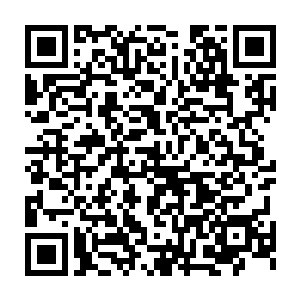 可是现在就是一个同样体能更加恐怖的男子在这里和古力硬碰硬的攻击二维码生成