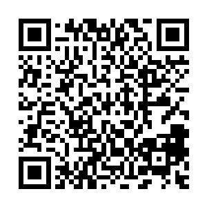 可是现在我觉得你提供给我的那些东西并不一定会引起我的重视二维码生成