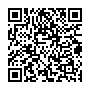 可是现在看到和听到的都标志着林烽极有可能是个私生子富二代二维码生成