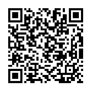 可是现在脑海当中一回想起林烽方才自信满满的样子二维码生成