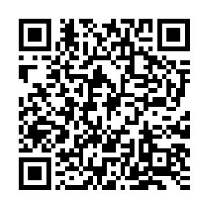可是现在远古天蛇皇的出现再一次让他们意识到了天龙宗的恐怖二维码生成