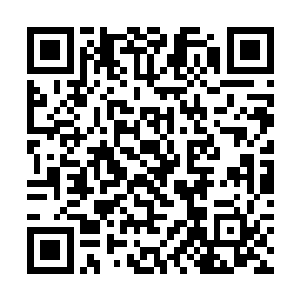 可是真剑宗的长老们合力炼制而成的一次性攻击秘宝二维码生成