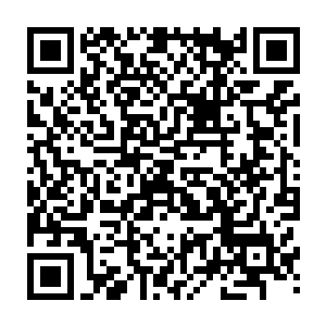 可是真正看到了刚才秦方一次姓命中的赌客们却觉得秦方这是有真本事的二维码生成