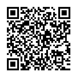 可是真正让他无法忍受的是他豢养的拳手被人打成这样一副惨样二维码生成
