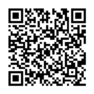 可是眼前的黑衣人竟然硬生生的挡住了自己的攻击二维码生成