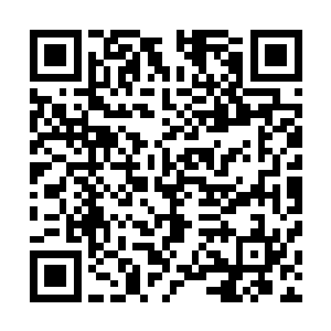 可是秒击这种彻底改变战斗节奏的招式一出现他们就傻眼了二维码生成