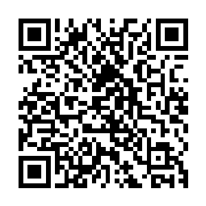 可是第一个注意到这件事的却是始终关注这个游戏的医学系教授二维码生成