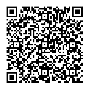 可是等着人上了岛一看一帮子穿着树叶的部落老实的蹲在岛上不是种香焦就是种椰子什么的忙的可欢实了二维码生成
