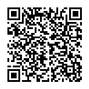 可是自从上次秦方收拾了在他看来几乎完全无法对付的金正明之后二维码生成