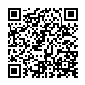 可是起拍价一块钱就不一样了――很快人们就都激动了二维码生成